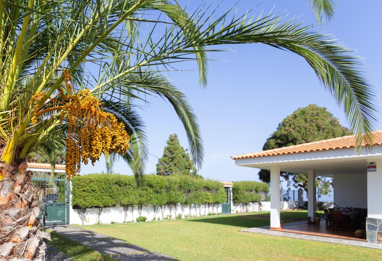 Finca La Vizcondesa Icod De Los Vinos Dış mekan fotoğraf
